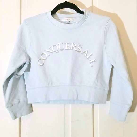 Aritzia Tops - Aritzia "Conquers All" Cropped Crewneck Sweatshirt